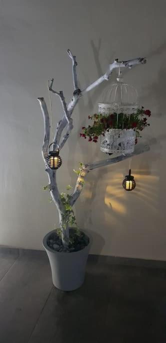 E&G Relax Homes-E Kissamos Ngoại thất bức ảnh